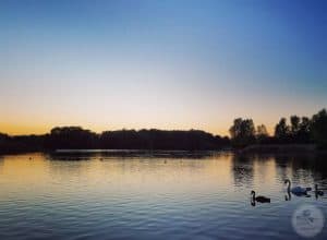Sunset on a Lake
